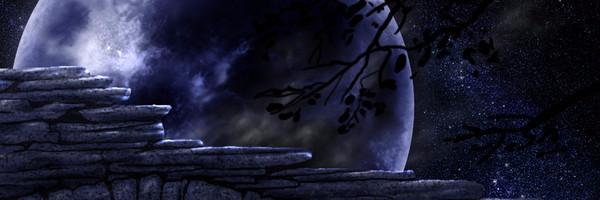 WhiteGrasper's profile banner image