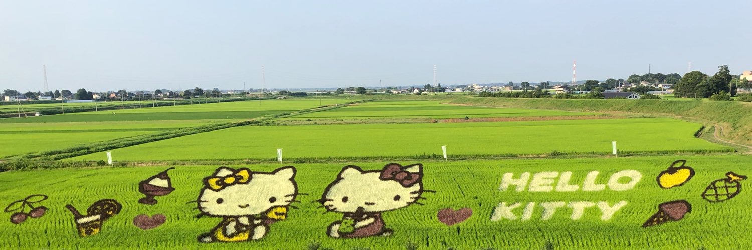 komomo73's profile banner image