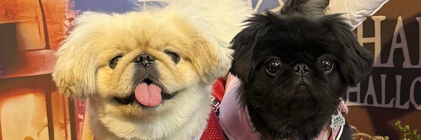 一二三🍓ちびなドラマー🤪🥁🍼 banner