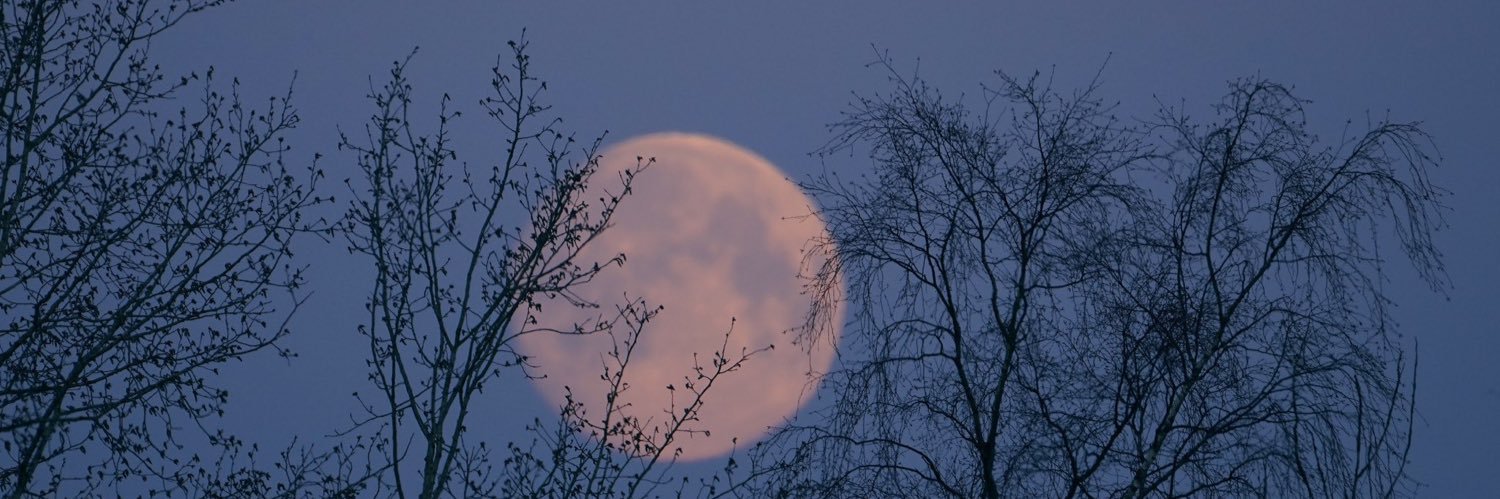 ❥Moonlight. ∞ banner