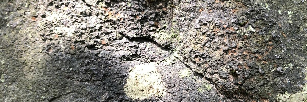singlemaria1's profile banner image
