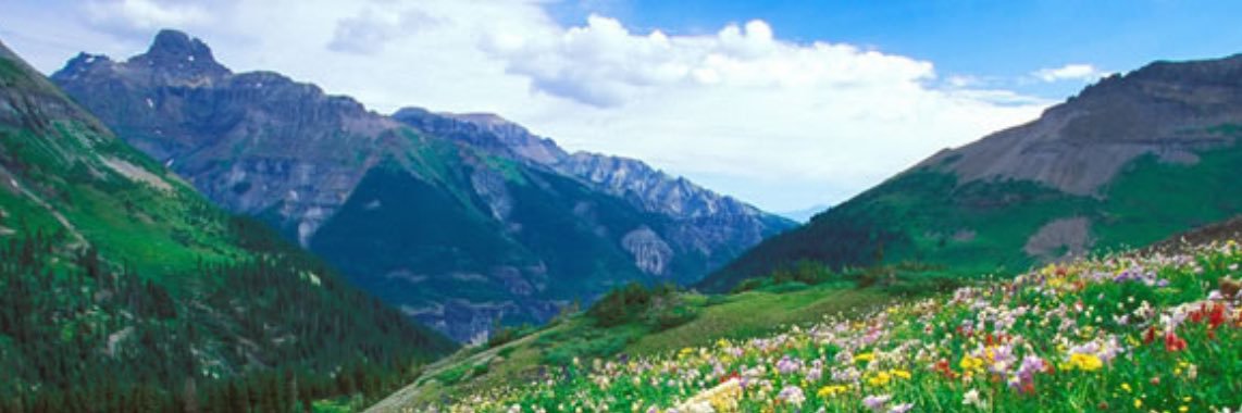 gpsc888's profile banner image