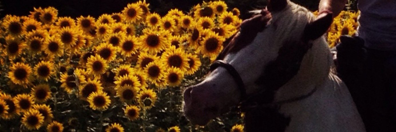 MM_Walt's profile banner image