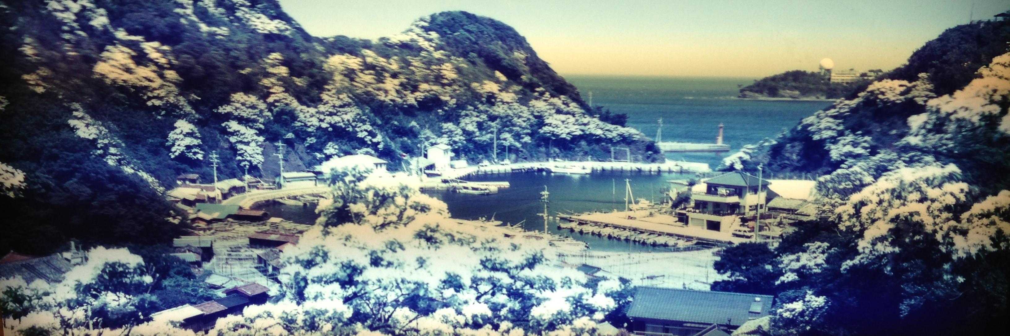 assy0777's profile banner image