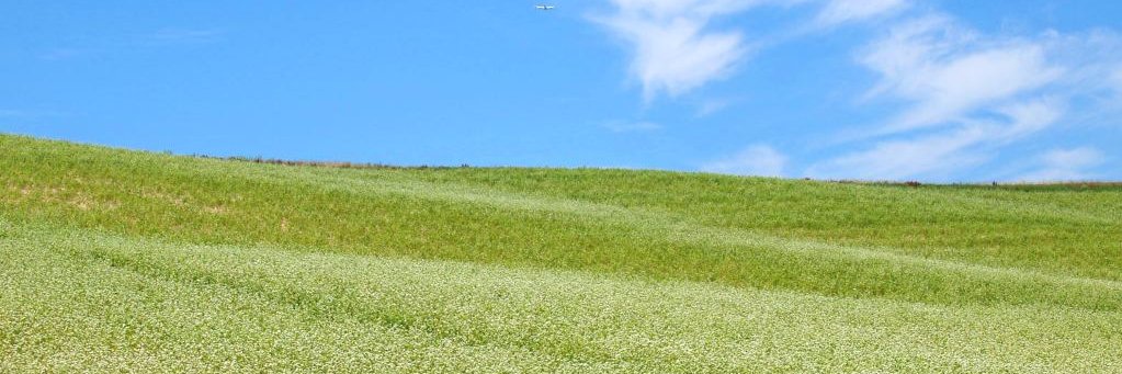 yon_no_ri's profile banner image