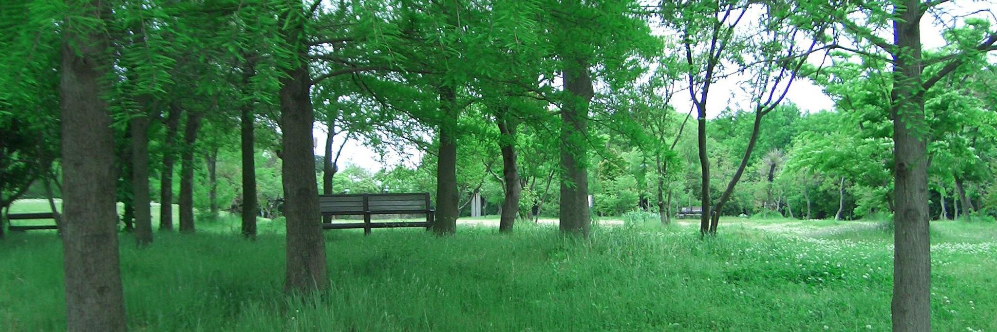 LANDSCAPE_CAFE's profile banner image