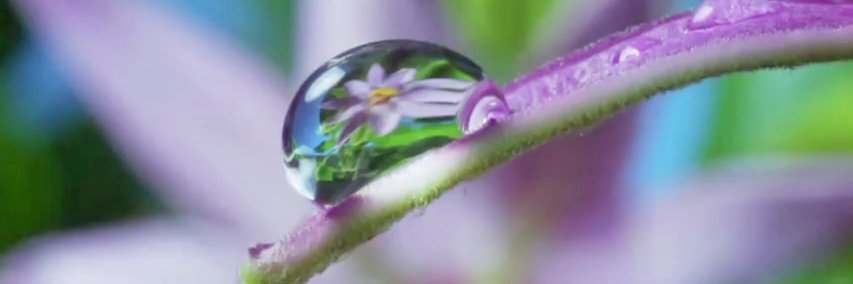 pardeepmunda's profile banner image