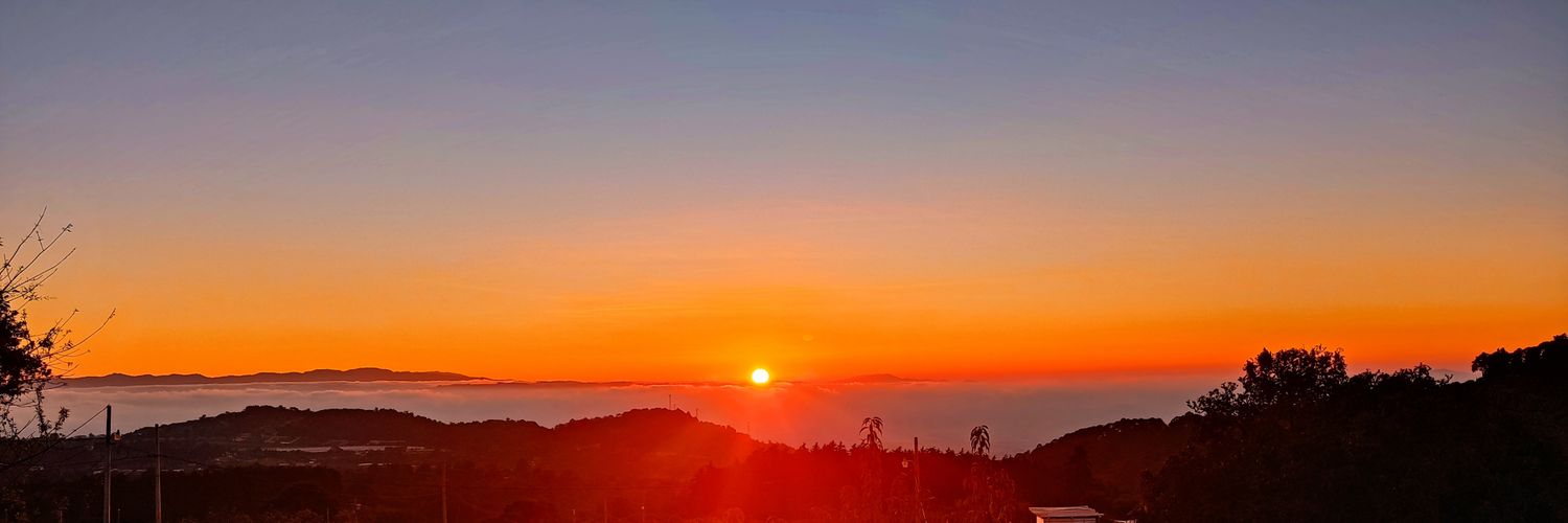 olivajj's profile banner image