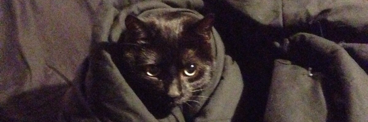 madamwev's profile banner image