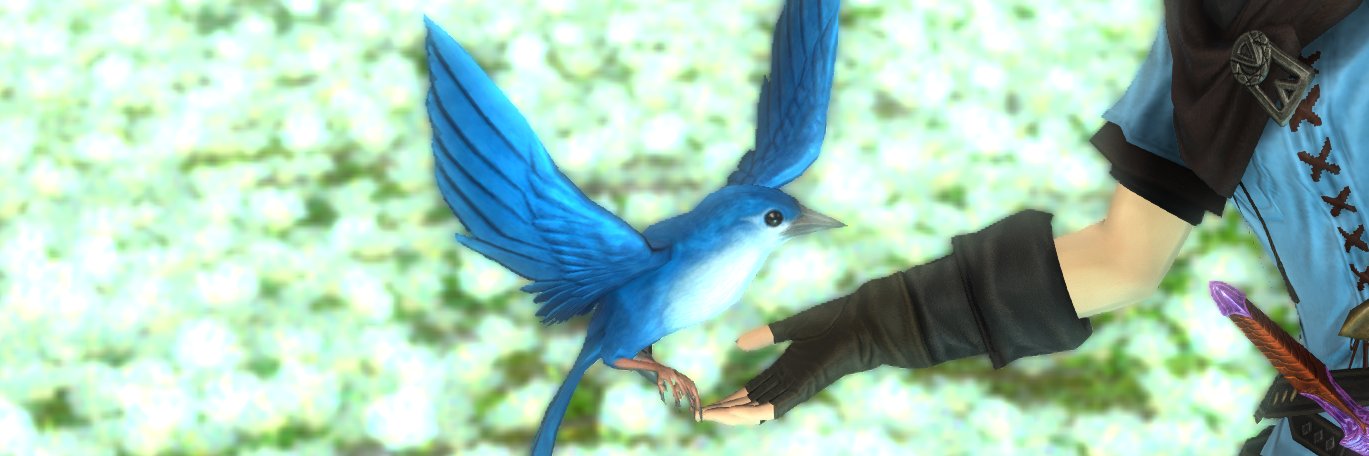 ri2n4ra2's profile banner image