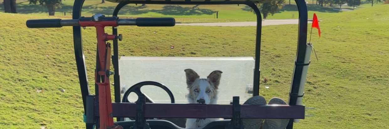 Colten Person banner