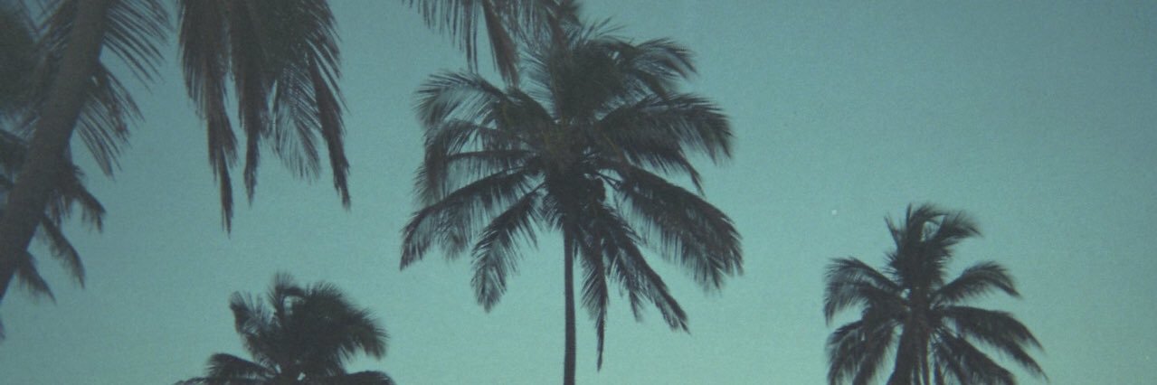 palavrasdatay's profile banner image