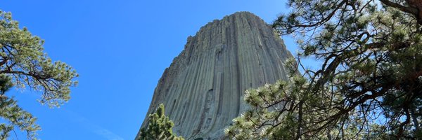 APRN1119 Profile Banner