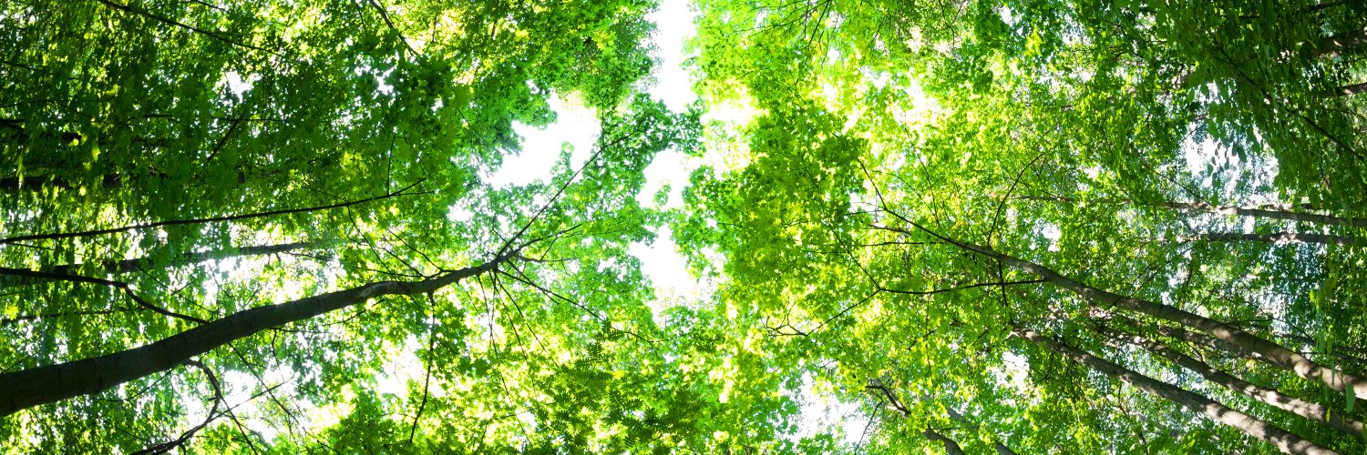 forestock's profile banner image