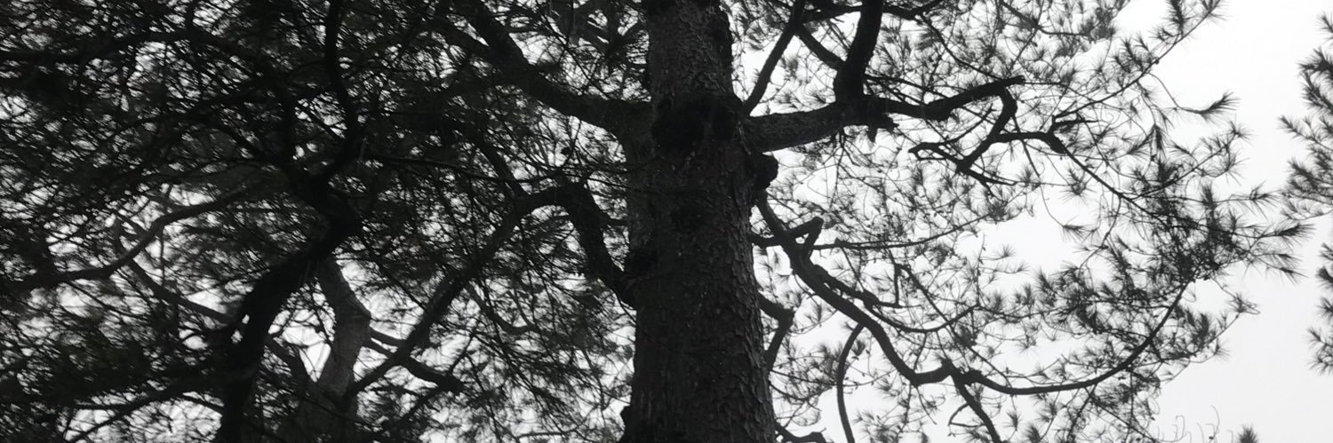Polhensen's profile banner image