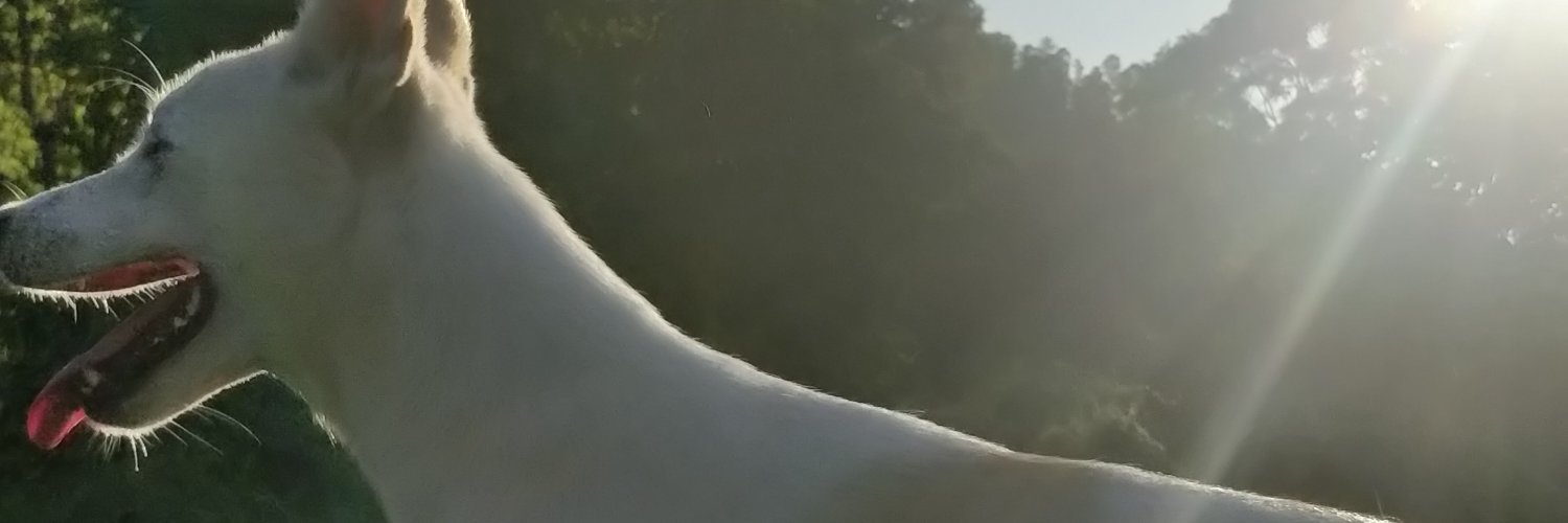 onhring's profile banner image
