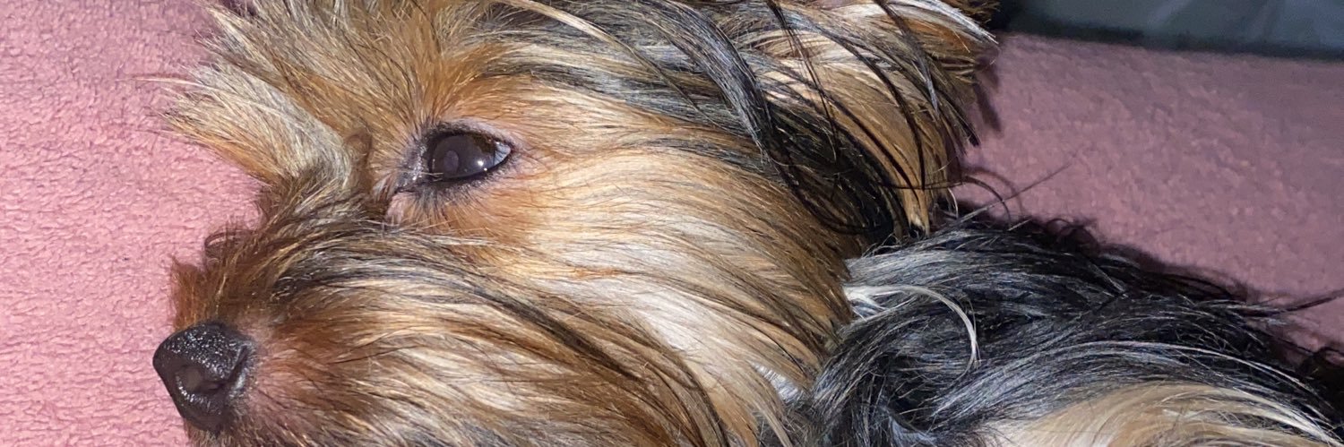 anacarolinegaby's profile banner image