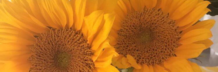 mashelle17's profile banner image