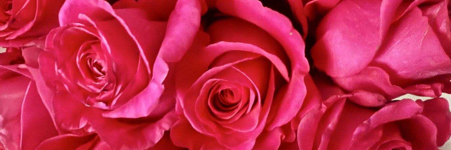 ElanaMarie__'s profile banner image