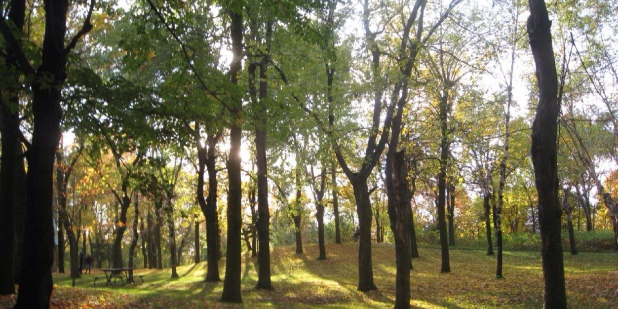 Neha Khandelwal banner