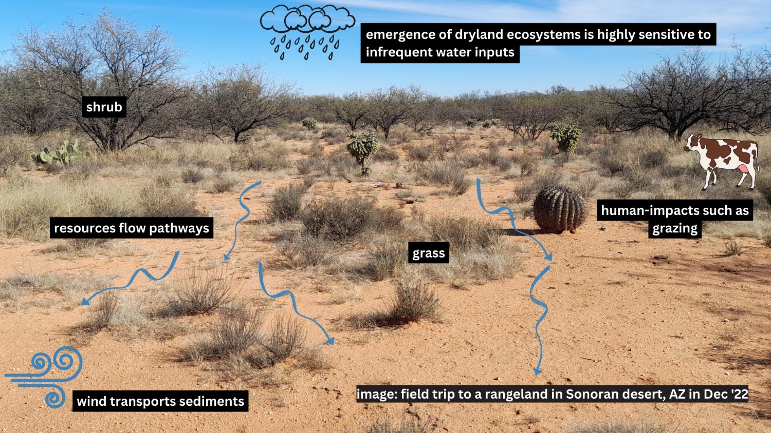 Shubham Tiwari banner