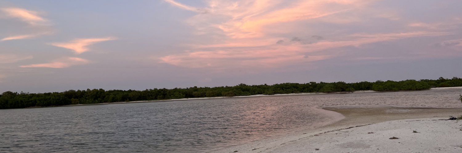 patyloyaa's profile banner image