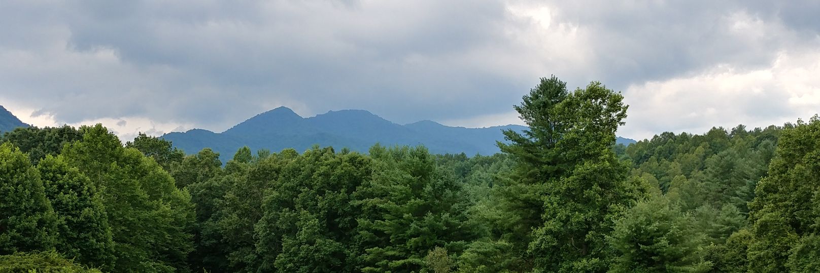 alleischner's profile banner image