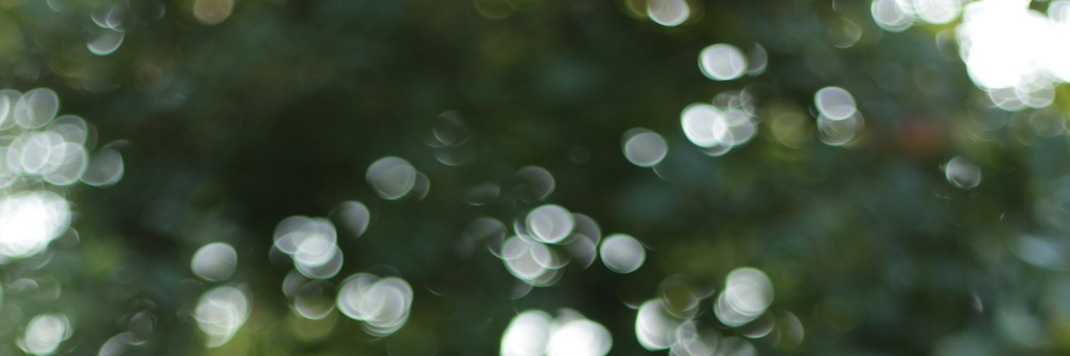 Thomas Tuegel banner
