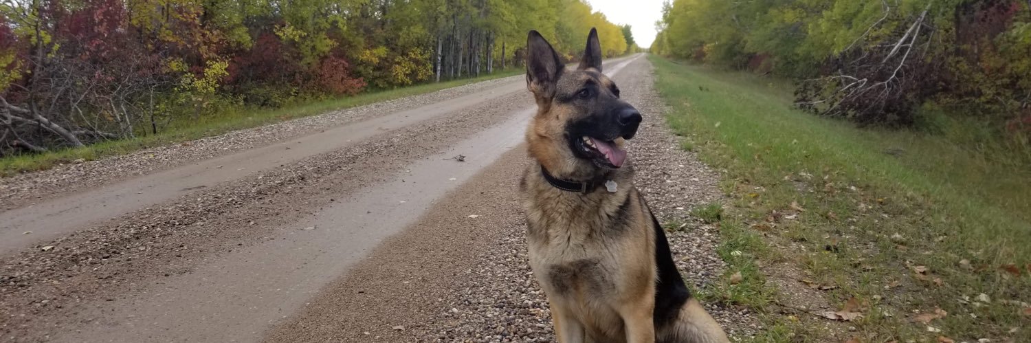 KimmynotJimmy's profile banner image