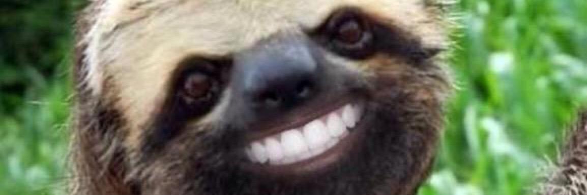 youasasloth's profile banner image