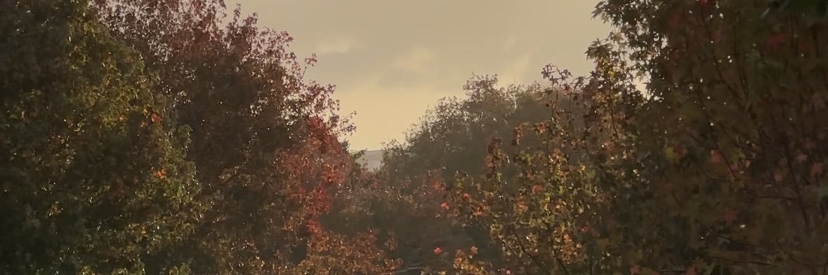 iamedoojr's profile banner image