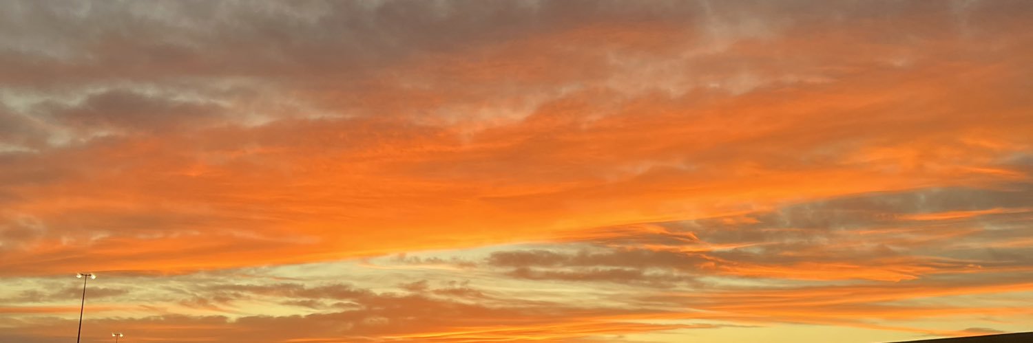 luzizzlee_'s profile banner image