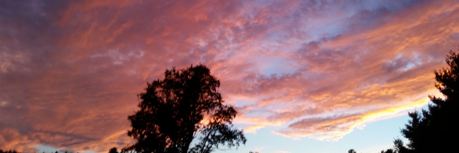 540_642's profile banner image