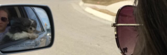 Debo_katie's profile banner image
