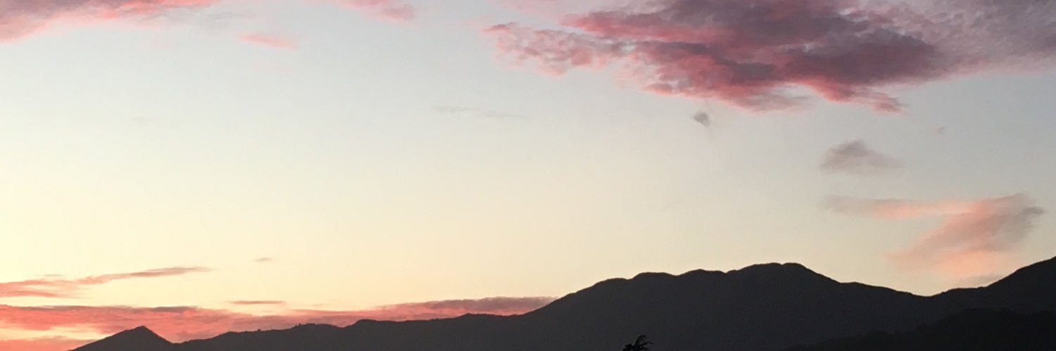 gabriella___98's profile banner image
