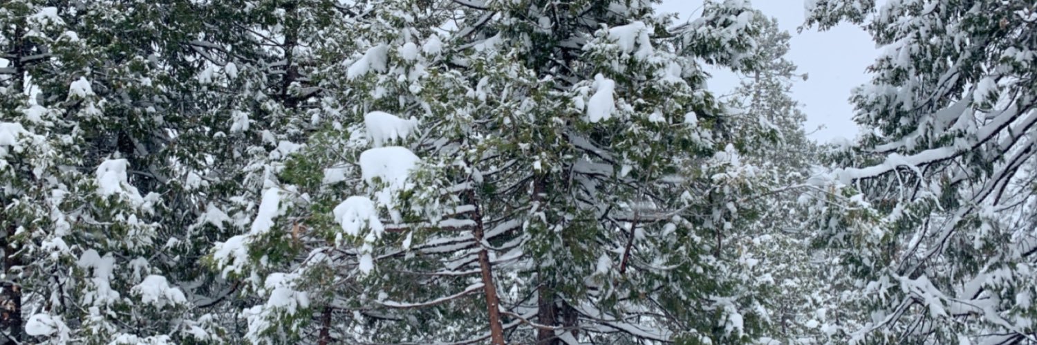 SlaticTommy's profile banner image