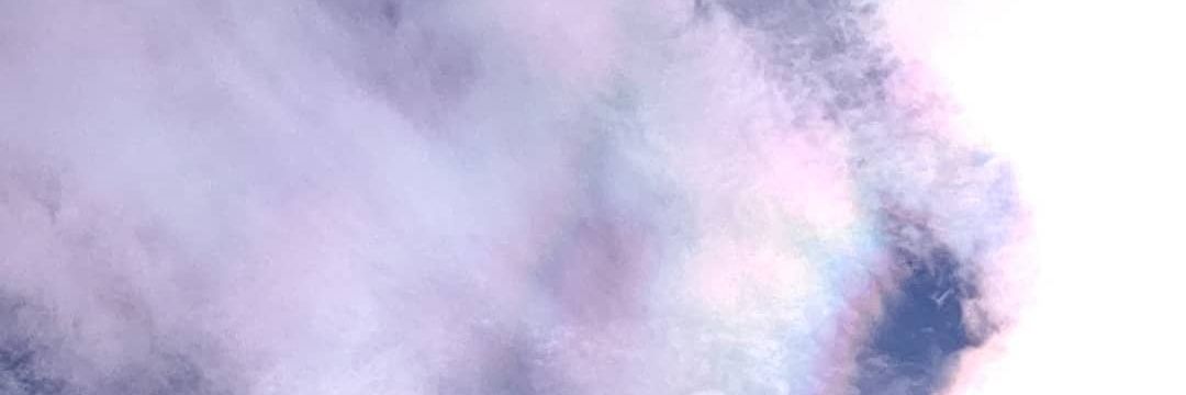 ChachaChimny's profile banner image