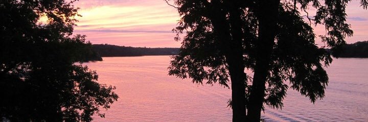 Danni_Kuddles's profile banner image