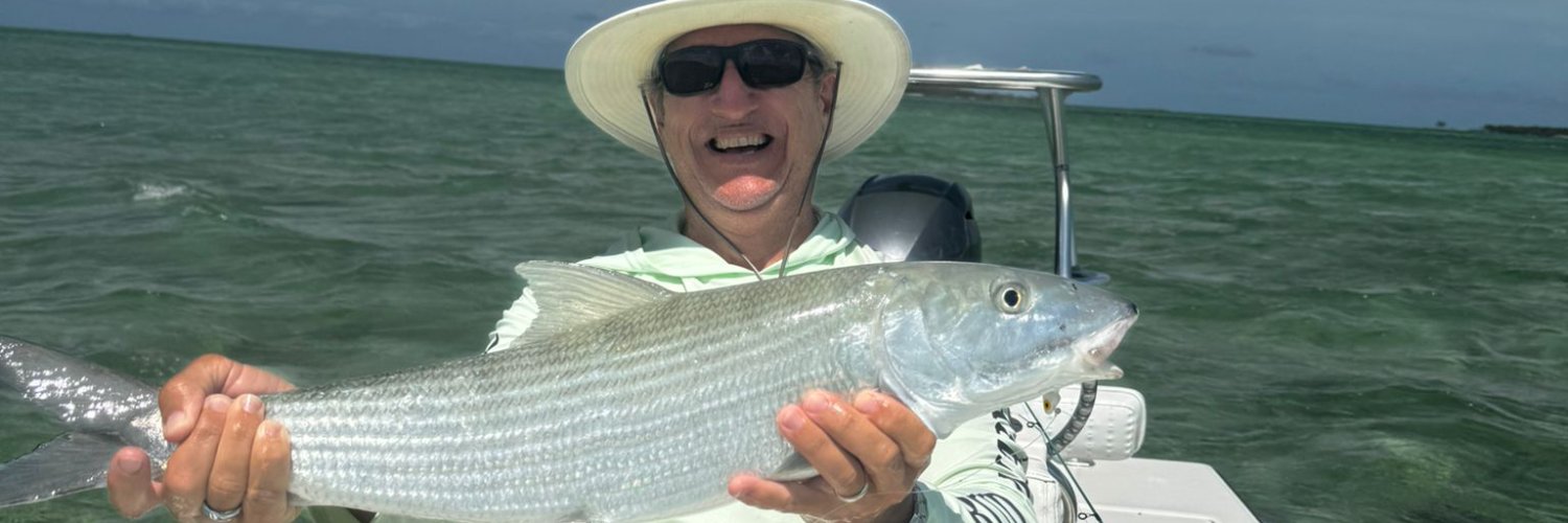 Lewis M. Johnson banner