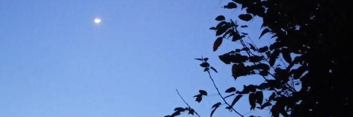 putrysondakh's profile banner image
