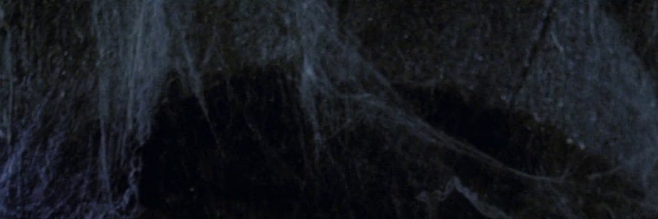 … banner