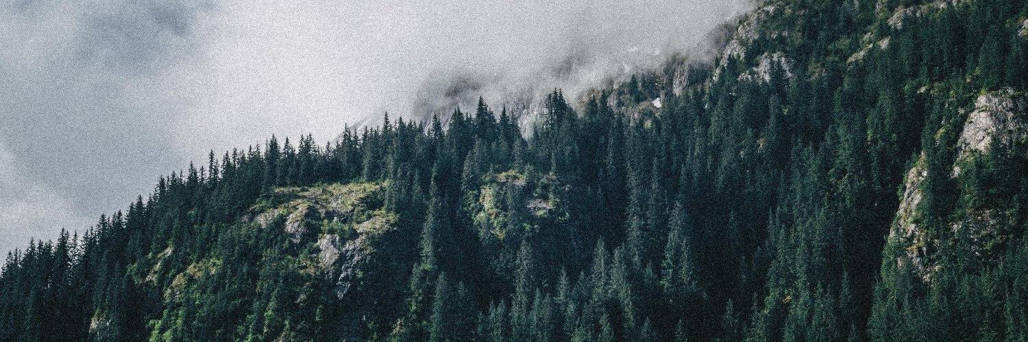 Tbuzyan's profile banner image