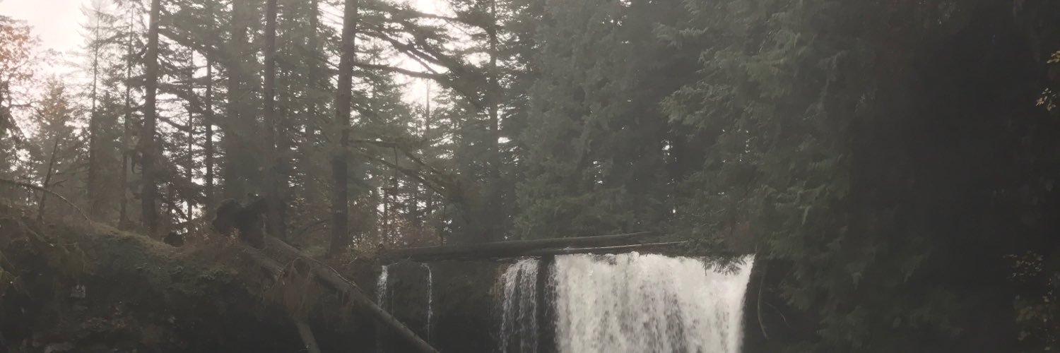 MackShann12's profile banner image