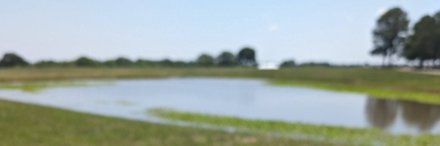 SeanBallard's profile banner image