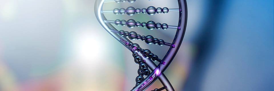 UniversalGenes's profile banner image
