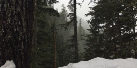 FebruaryEightee's profile banner image