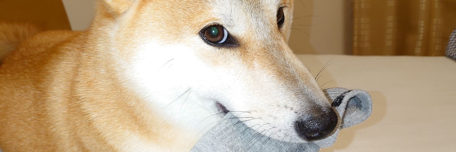 ucchi10111's profile banner image