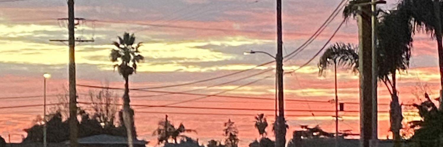 radiicalriissa's profile banner image