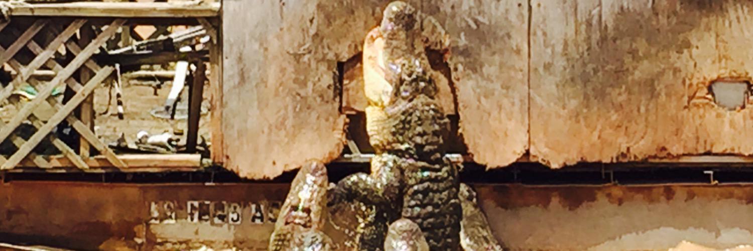 Steelcore1911's profile banner image