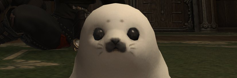 norppalia's profile banner image